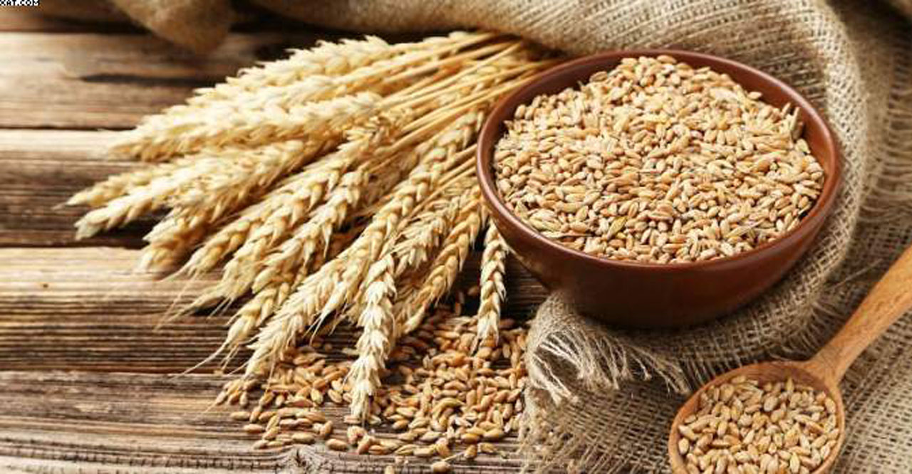 کنترل الکترونیکی در دستگاه های آردسازی 4 تولید آرد گندم